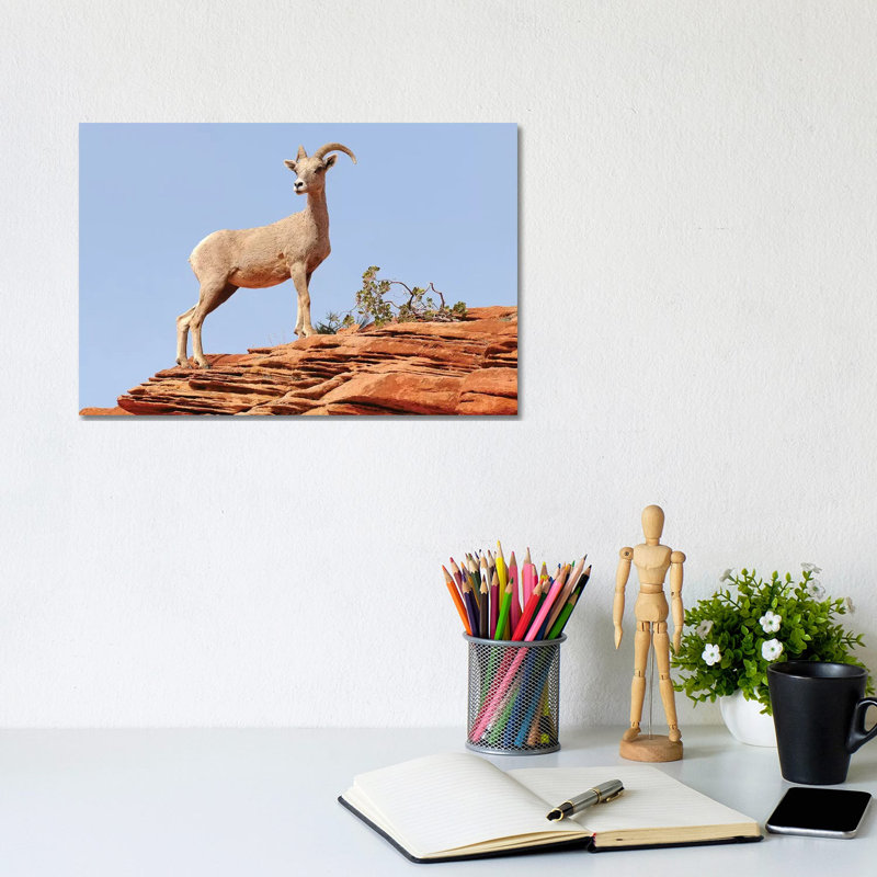 Standing Proud by Brian Wolf - Wrapped Canvas Print, 20.32cm H x 30.48cm W x 1.91cm D