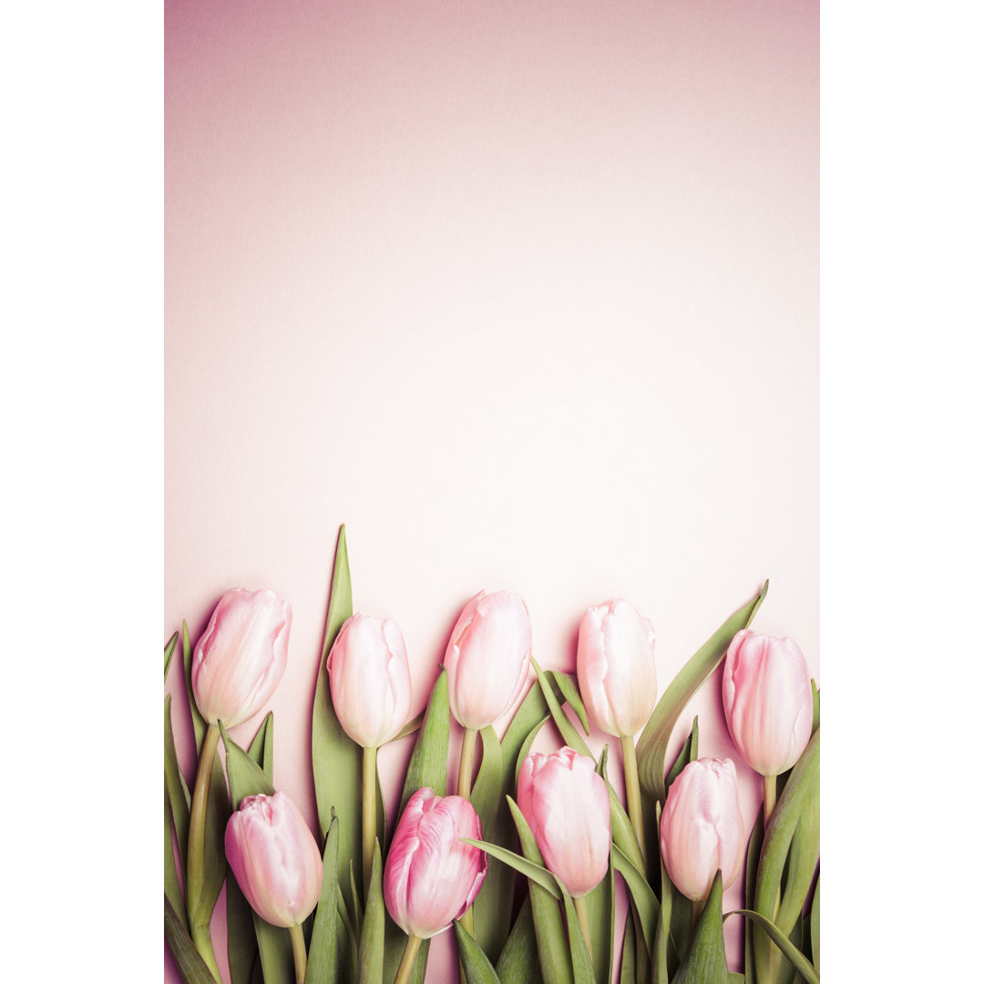 Leinwandbild Rosa Tulpen auf rosa Hintergrund. Flat Lay, Ansicht von oben. Valentinstag Hintergrund