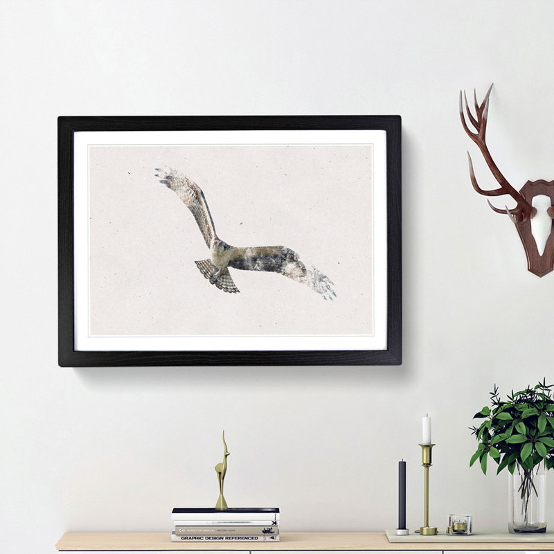 Osprey Bird - Framed Print, 24cm H x 33cm W x 2cm D, Black Framed