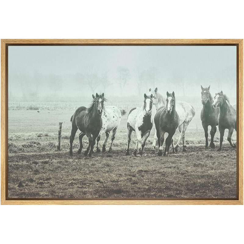"Chevaux galopant sur des animaux de la ferme" sur, Cadre flottant naturel, H 16 po x l 24 po