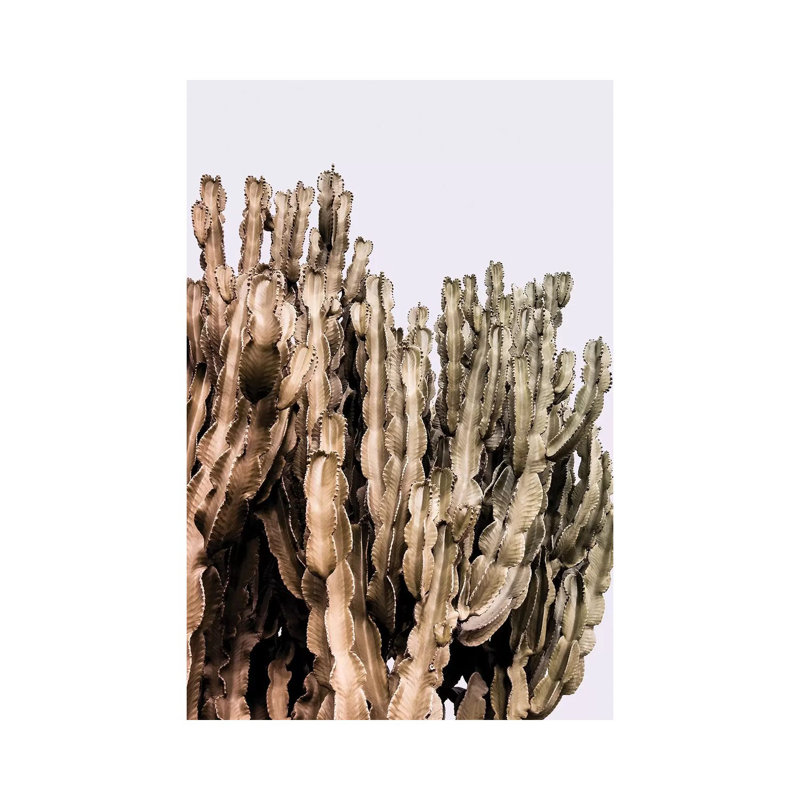 Metal Cactus by Beli - Wrapped Canvas Print, 20.32 cm H x 30.48 cm W