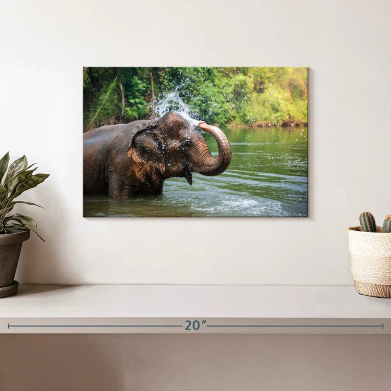 Éléphant jette de l'eau, H 8 po x l 12 po