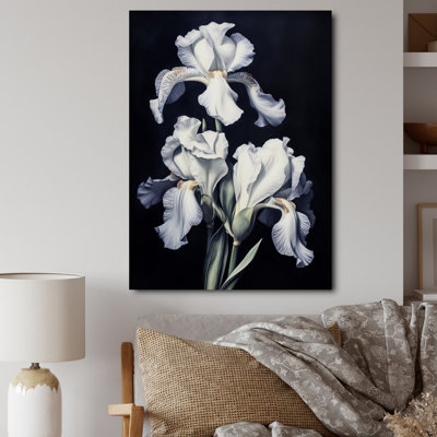 Pétale d'iris gris et blanc