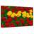 Harnek Wisconsin Spring Tulips-108818419