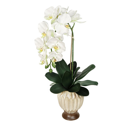 Artificial Phalaenopsis Orchid Flower Arrangement In Origami Ceramic Pot