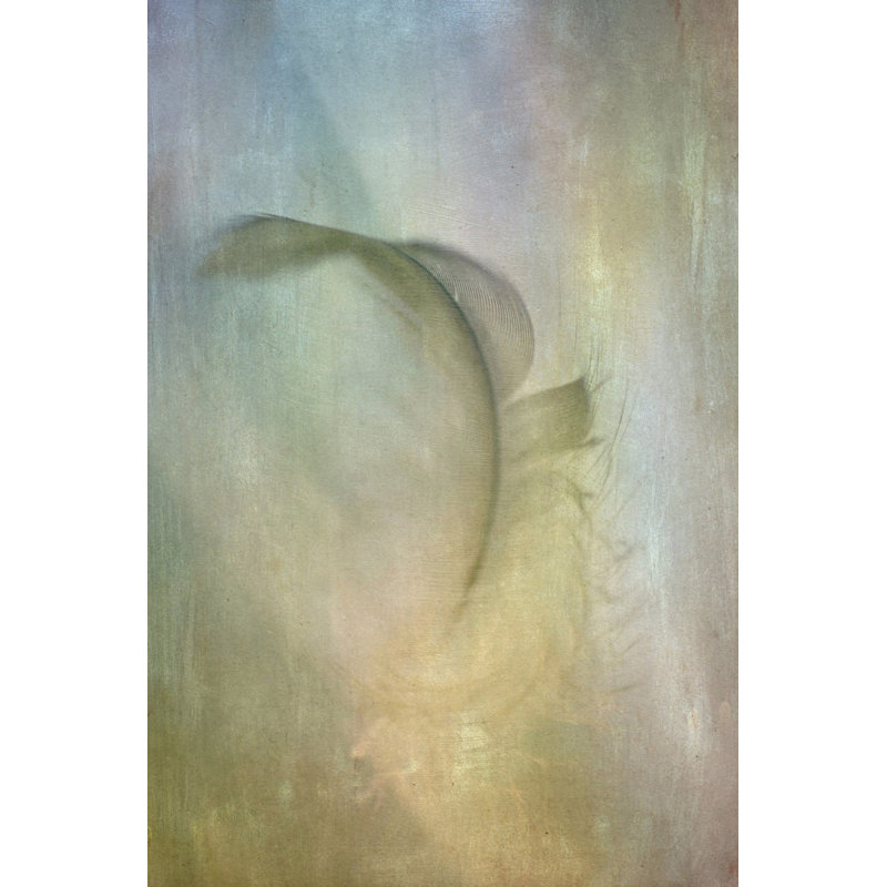 «Falling Feather», reproduction sur toile tendue, H 60 po x l 40po x P 1,5 po