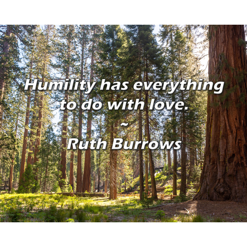 Ruth Burrows Citation: L'humilité a tout à voir avec l'amour., H 20 po x l 24 po