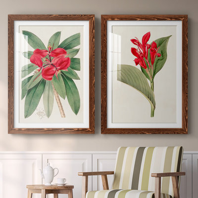 «Flora of the Tropics III», reproduction encadrée de qualité supérieure - prête à être accrochée