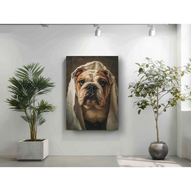 Drôle de bouledogue sur toile, H 24 po x l 16 po
