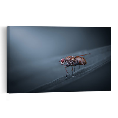 Affiche murale minimaliste Mouche aux yeux rouges