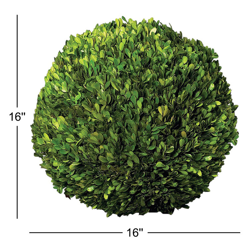Preserved Greens Topiary, Hedge Plant in, 16" H x 16" W x 16" D 
