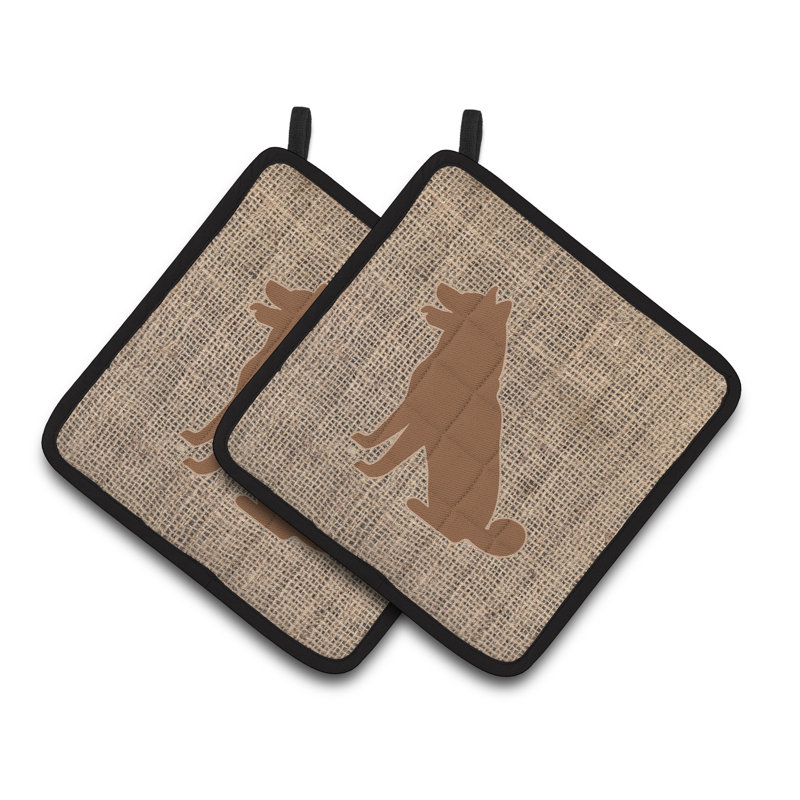 Manique Shiba Inu, Brun