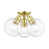 Satin Brass