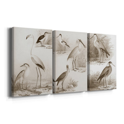 Oiseaux d'eau sépia I - Toile tendue avec châssis sur mesure - 3 pièces