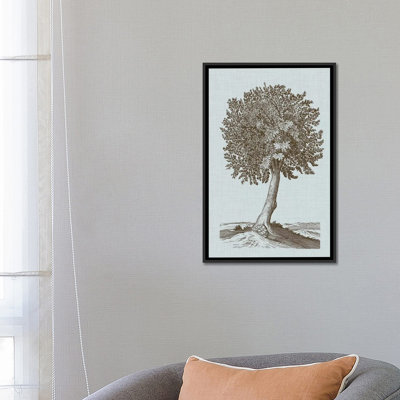 «Antique Tree in Sepia I», impression sur toile