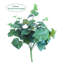Buisson de feuilles de vigne 19 "19"