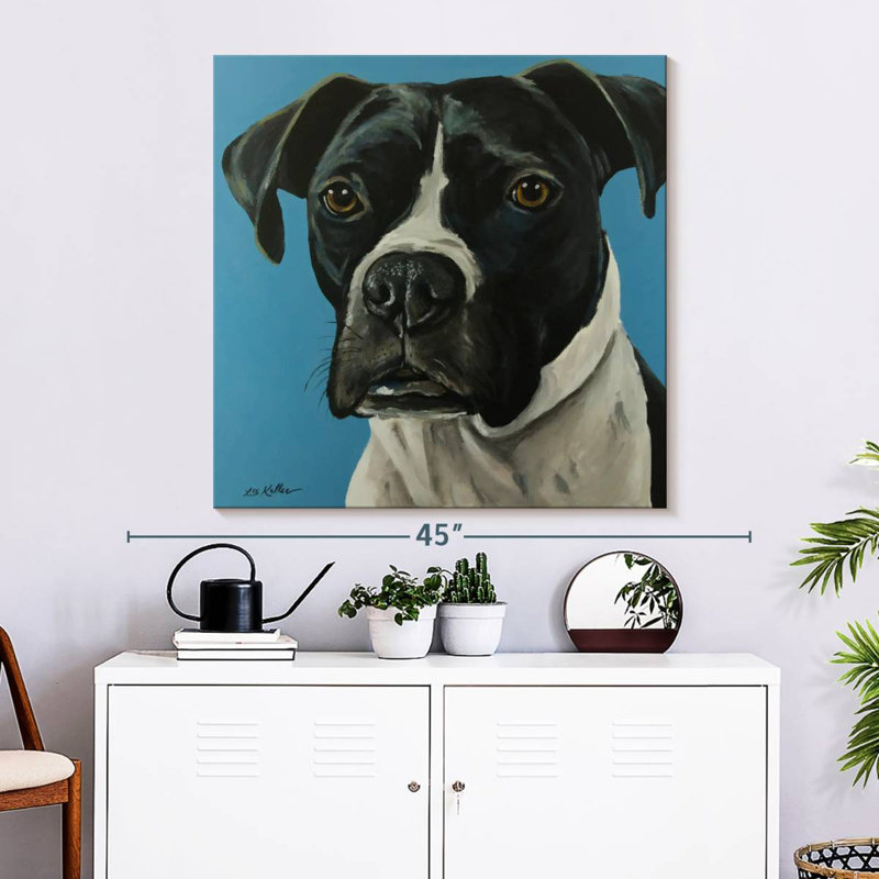 Boxer noir Brampt, H 33 po x l 33 po