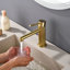 Robinet de salle de bain à un trou avec ensemble de bonde escamotable Robinets de lavabo à poignée simple Robinets de lavabo en laiton avec valve-123037550