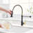 Kitchen Faucet with Pull Down Sprayer-97011234