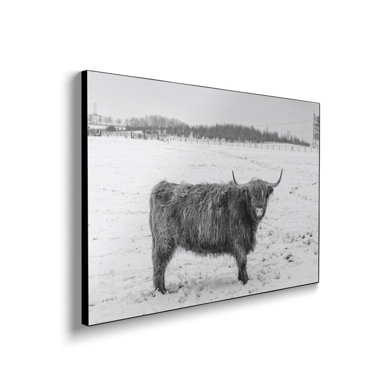 Impression sur toile, "Stefieldix" par Assaf Frank