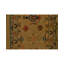 Oriental Area Rug in Camel/Brown/Green