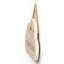 Broom Hair Dont Care Wooden Cloud Plaque