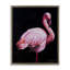 Cadre flottant élégant et exotique Flamingo, design par James Corwin-2052945373-2052945370