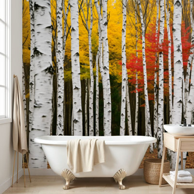 Wall Mural Peel and Stick Wallpaper Birch Tree Grove Autumn Colors Self-Adhesive Removable Contact Paper Wall Decor for Living Room Bedroom 69"H x 96"W