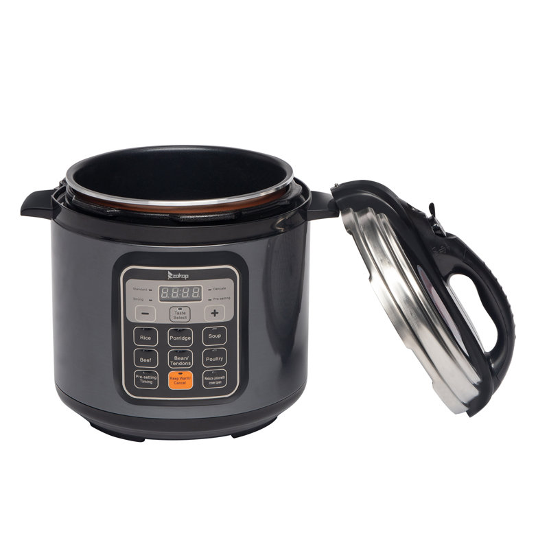 13 in 1 Push-Button 6L Electric Pressure Cooker