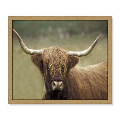 Frederic "Highland Afternoon" Print
