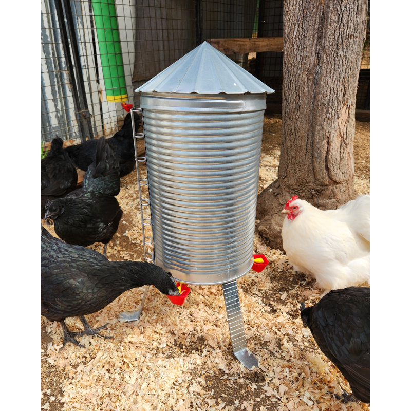 Silo Chicken Waterer