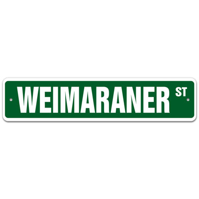 Grand animal de race Weimaraner