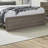 Hayle Low Profile Standard Bed w/ LED Lighting-1686040050