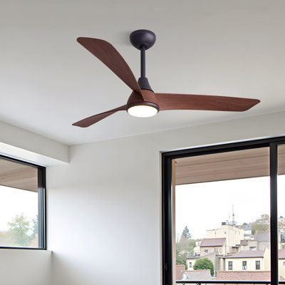 Ceiling Fan