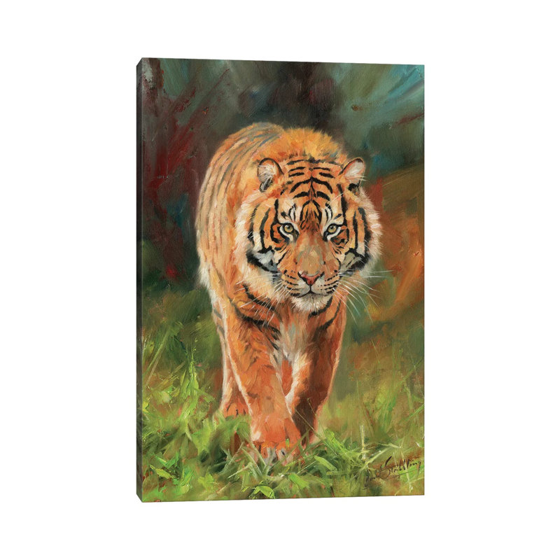 Amur Tiger by David Stribbling - Gallery-Wrapped Canvas Giclée on Canvas, 20.32 cm H x 30.48 cm W, Canvas