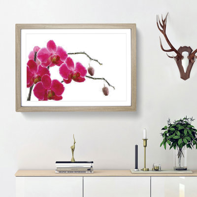 Hot Pink Orchids - Picture Frame Painting Print
