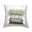 No Decorative Addition Throw Pillow