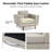 Chenille Armchair With Solid Wood Legs-2136371746