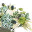 Mixed Floral Arrangement with Hydrangeas, Thistle and Protea-94242640