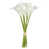 Blanc / vert est en rupture de stock