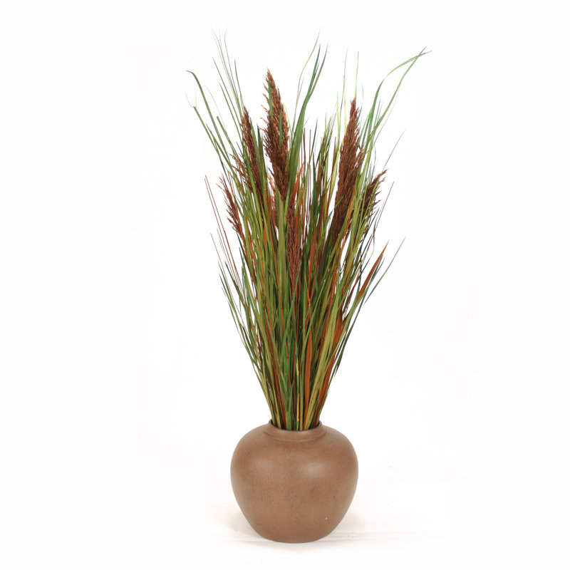 48'' Cattail Grass in Planter