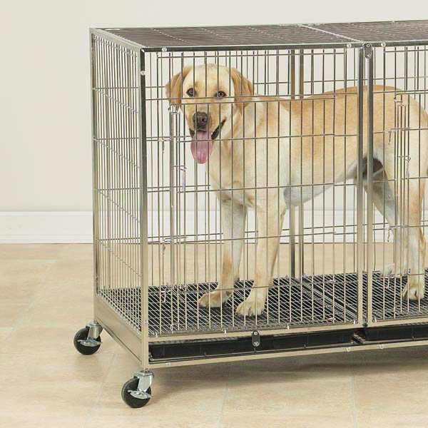 Caisse modulaire pour animaux Rubenstein, Moyen (H 32,5 po x l 23,6 po x P 47,5 po)