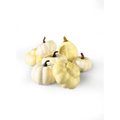 Thanksgiving Decorative Accent