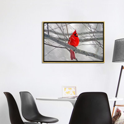 « cardinal oiseau »-impression