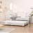 Korecky Steel Daybed with Trundle Bed-1233089411