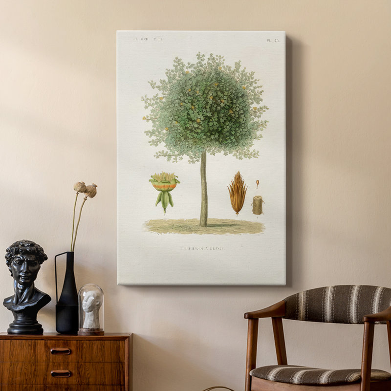 Arbre antique avec fruit et galerie Cavas sur mesure, H 12 po x l 8 po