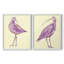 Impression encadrée Seabird I-Premium - prête à être accrochée - aucun clou requis - aucun clou requis-803503447-803503445
