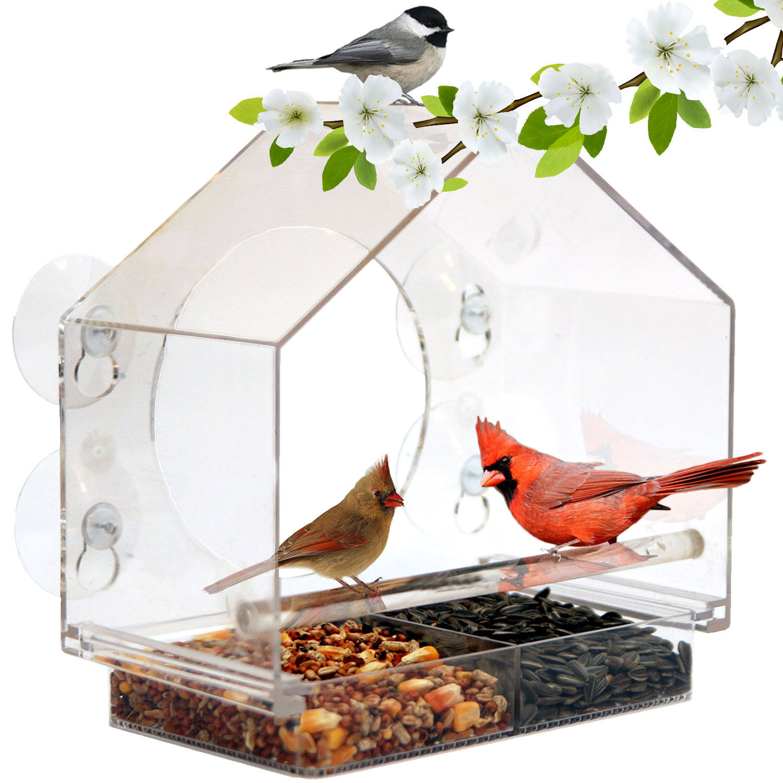 Arlmont Anasophia Water Resistant Wall Tray Bird Feeder