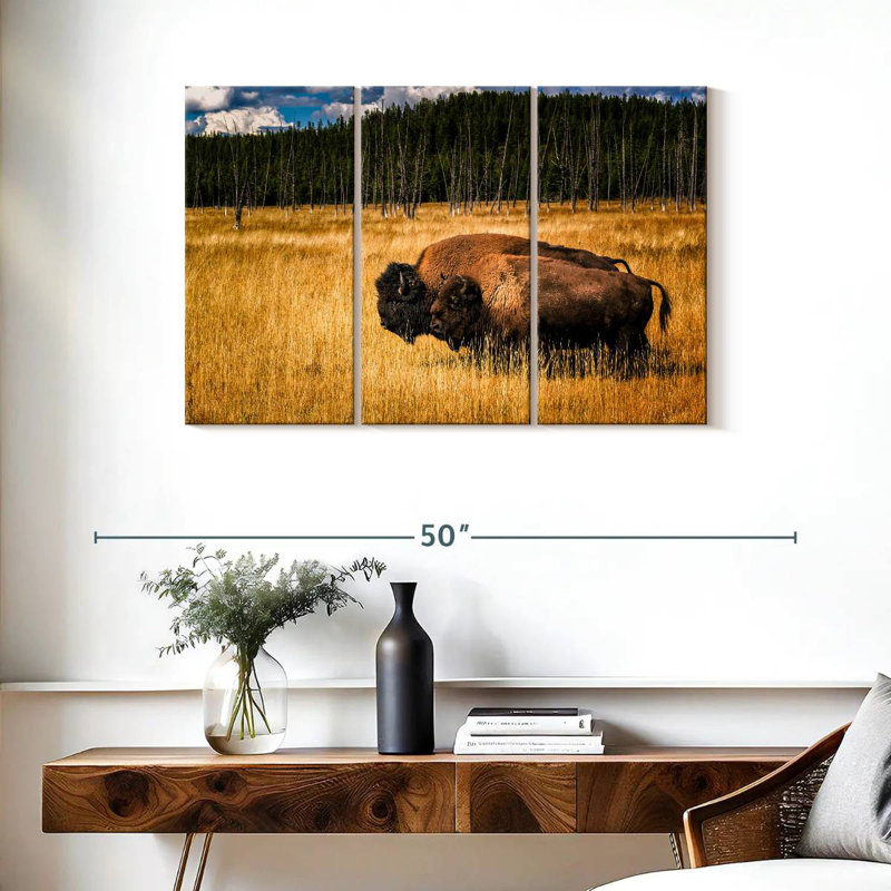 Brampt Bison In Summer, 24" H x 38" W