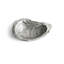 Ocean Reef Oyster Nut Dish